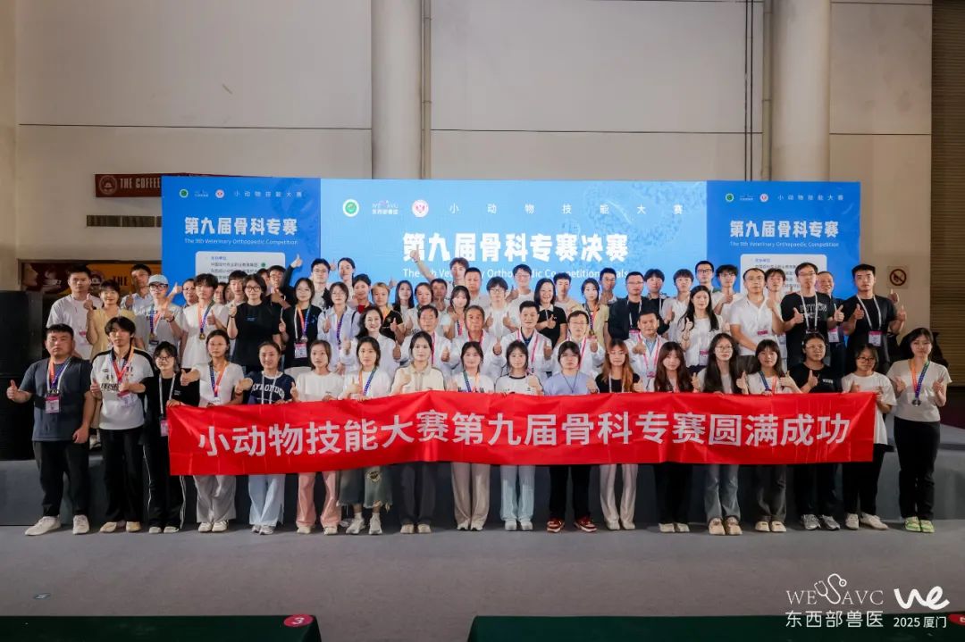 图11.jpg