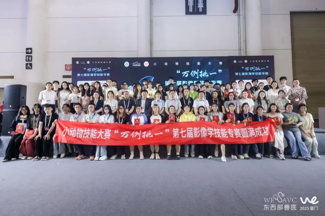 图12.jpg